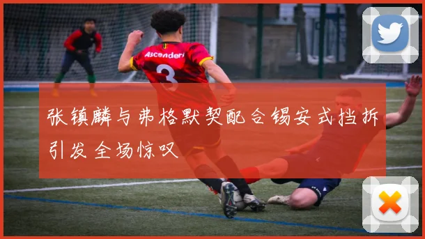 张镇麟与弗格默契配合锡安式挡拆引发全场惊叹